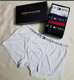 tommy hilfiger th sous vetementss pour homme s_72124a